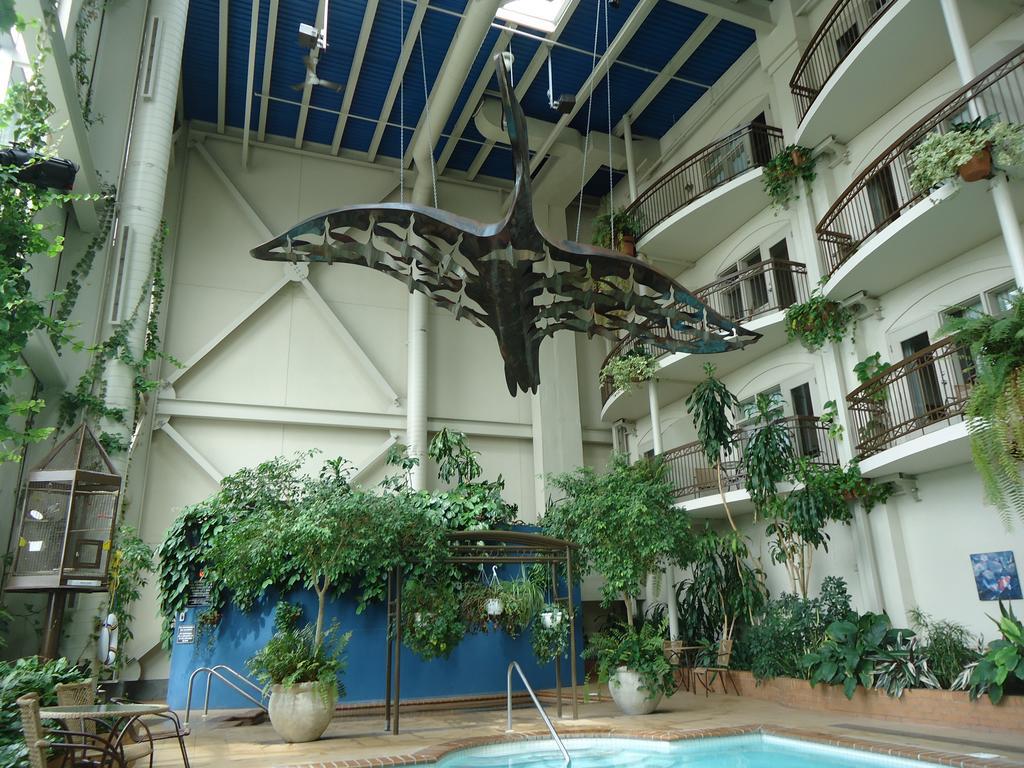 Hotel L'Oie Des Neiges เลวีส ภายนอก รูปภาพ